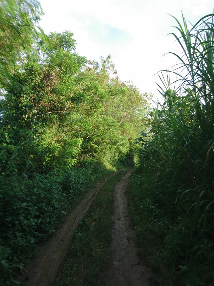 The first trail of Mt. Gulod