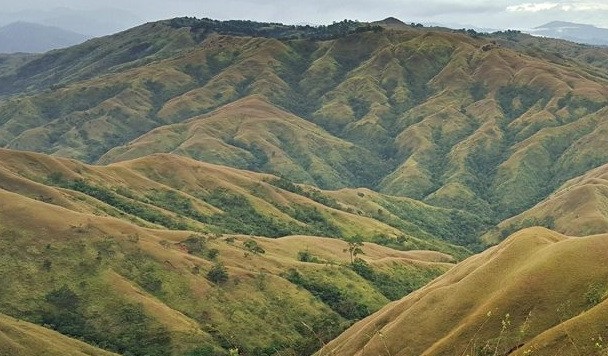 Apao Rolling Hills