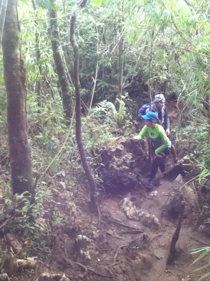 forested trail