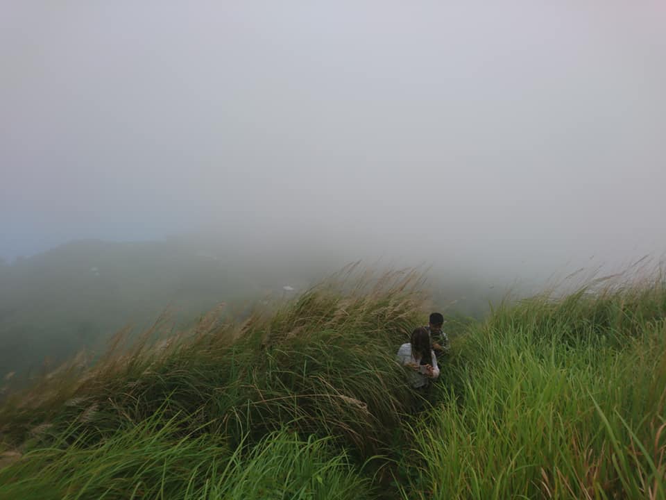 tall grass of Mt. Gulugod Baboy