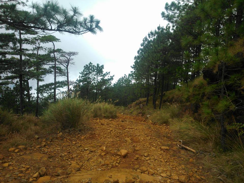 trail of Mt. Tapulao