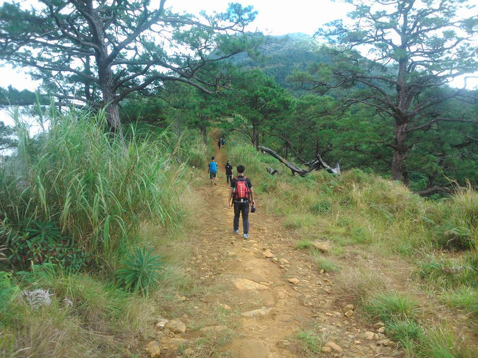 trail of Mt. Tapulao