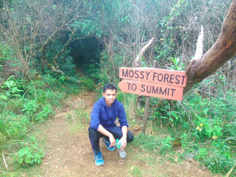 Mossy Forest of Mt. Tapulao