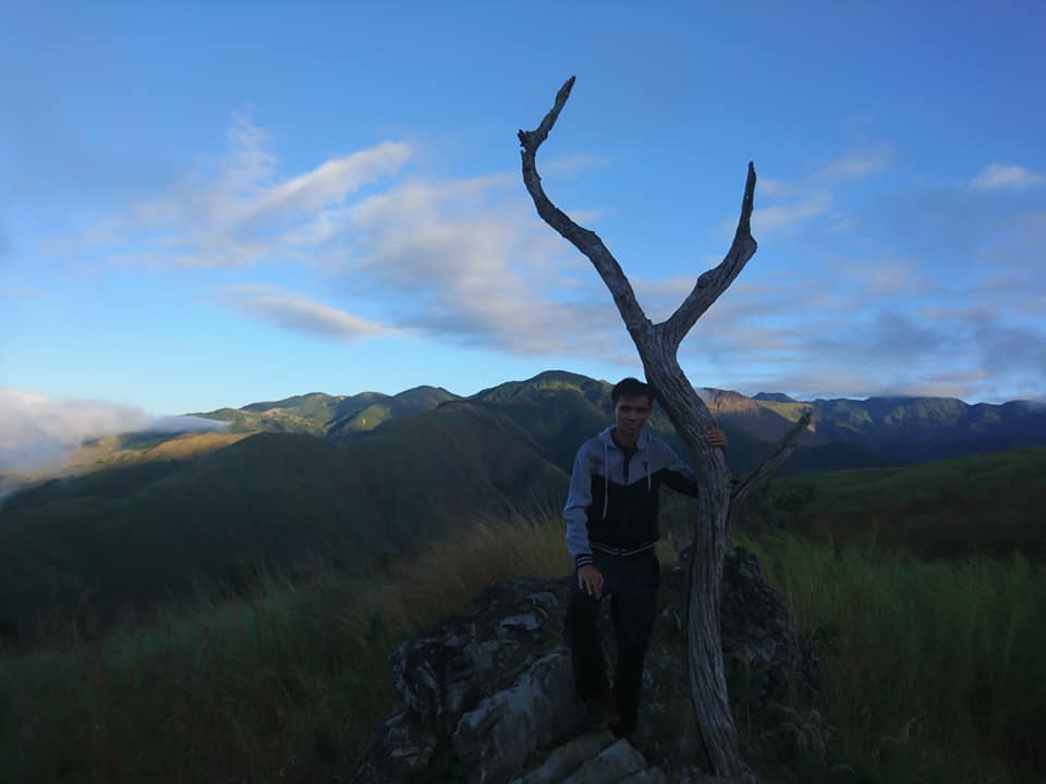 dead tree at Mt. Sawi