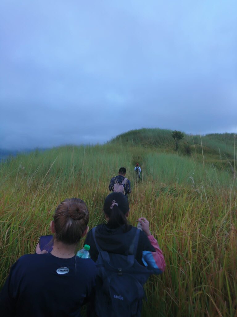 tall grass trail of Mt. Sawi