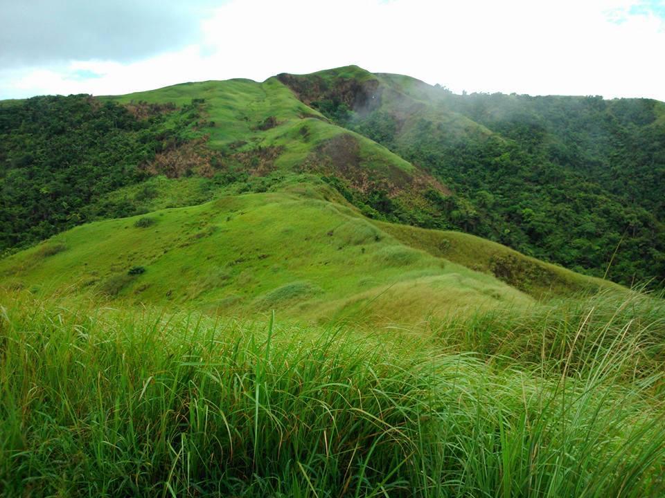 The lush green grass of Mt. Sembrano