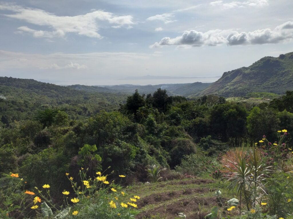 Lambingan Hills view