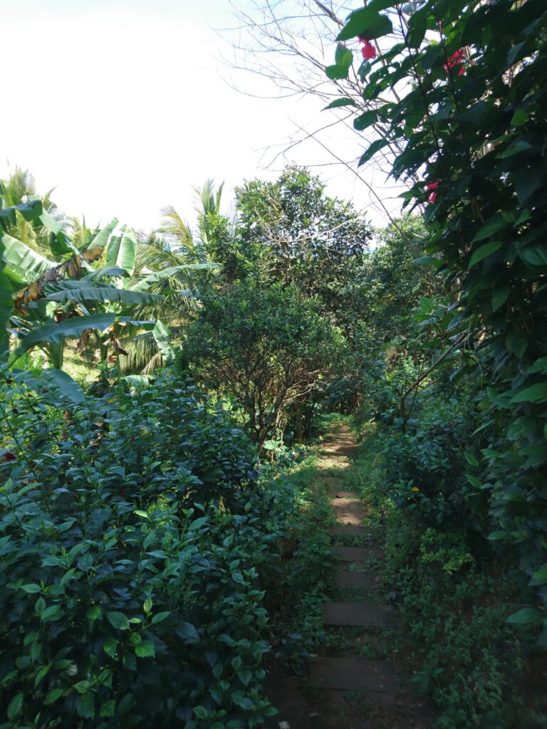 green plants