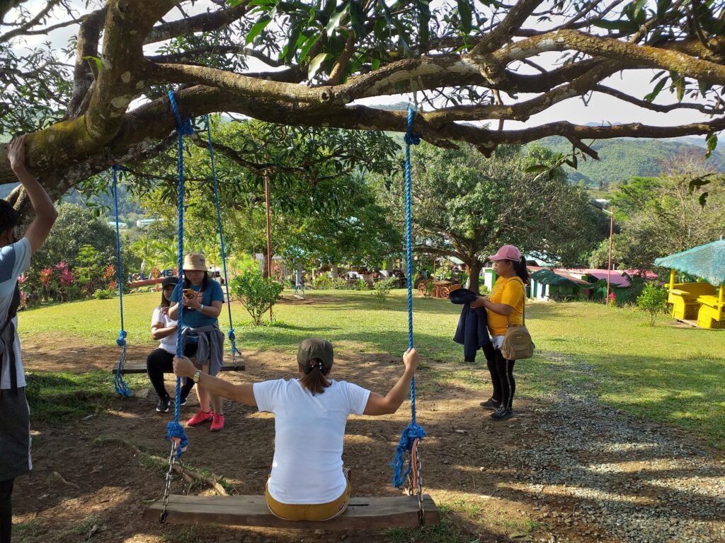 tree swing
