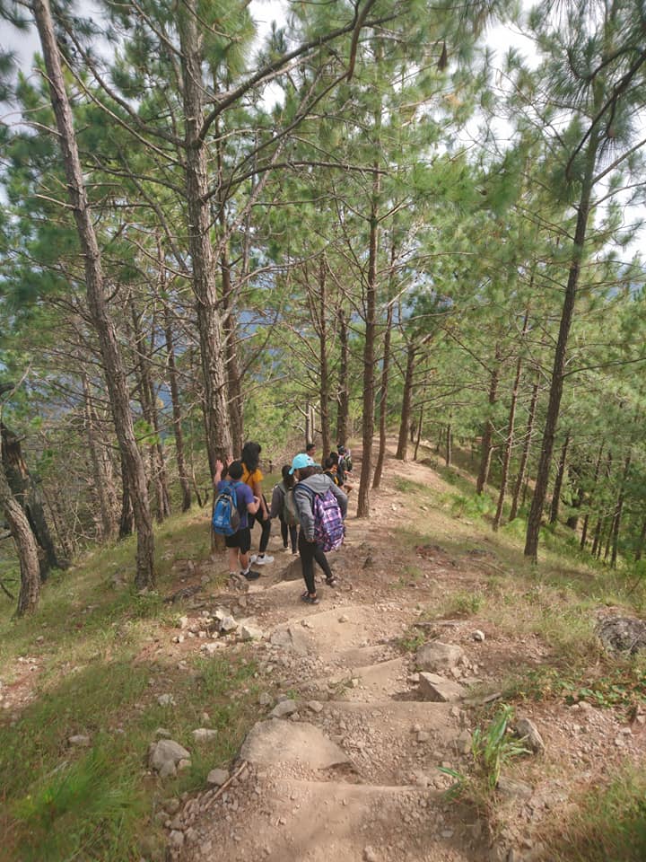 descending along the pine forest ridgeline