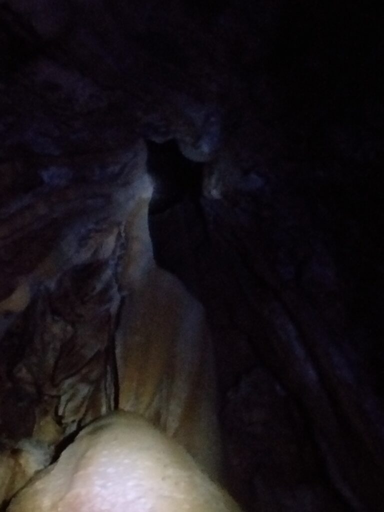ceiling of the cave