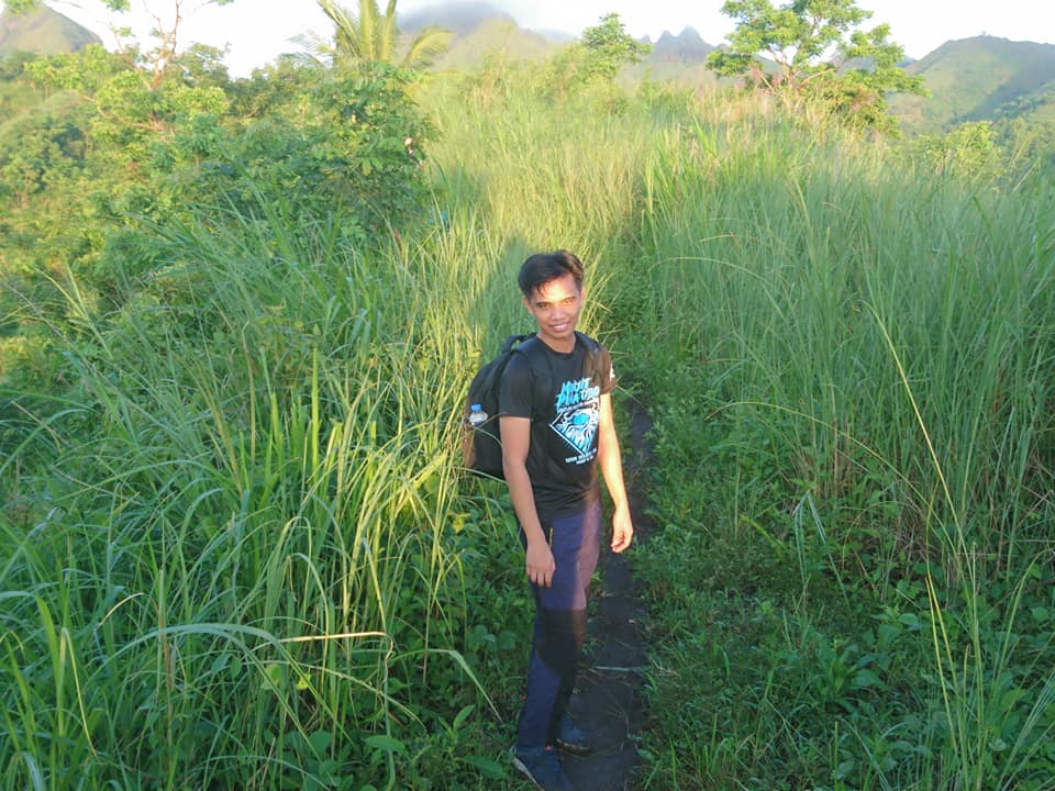 solo picture in grassland