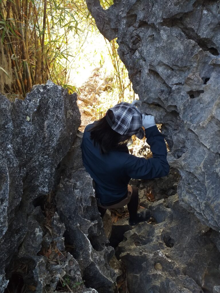 rock bouldering