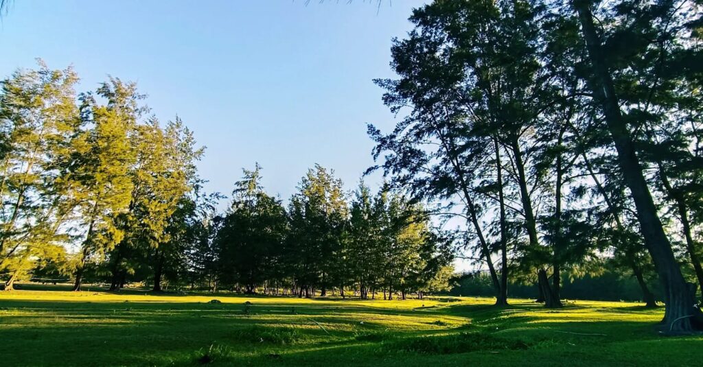 the vast green landscape of Zambales