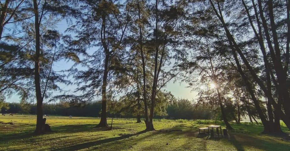 sunrise at the vast green landscape of Zambales