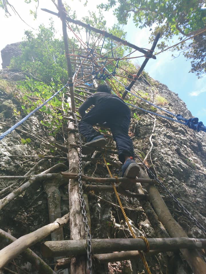 climbing the wooden ladder