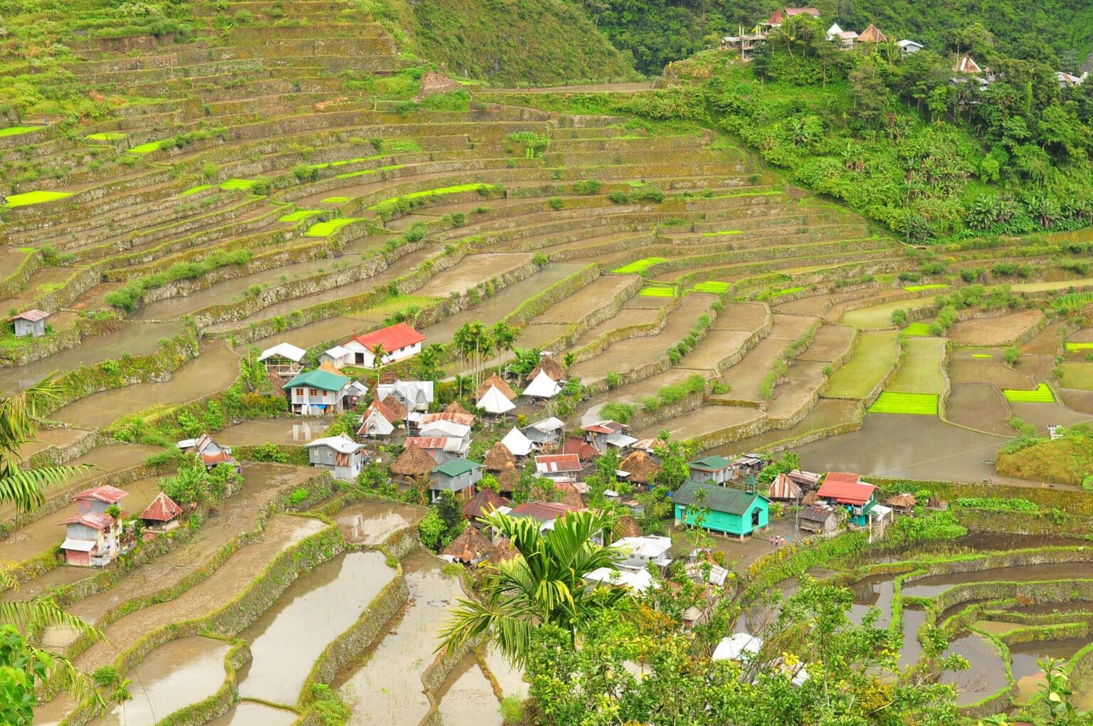 Batad Rice Terraces Travel Guide (Itinerary + Tips)