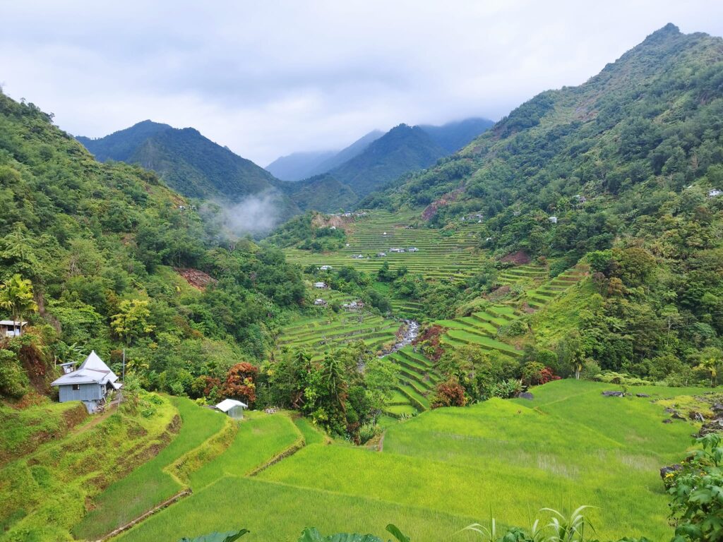 Batad Rice Terraces