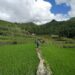 Batad Rice Terraces