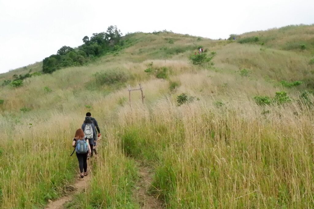 grassland of Mt. Balagbag