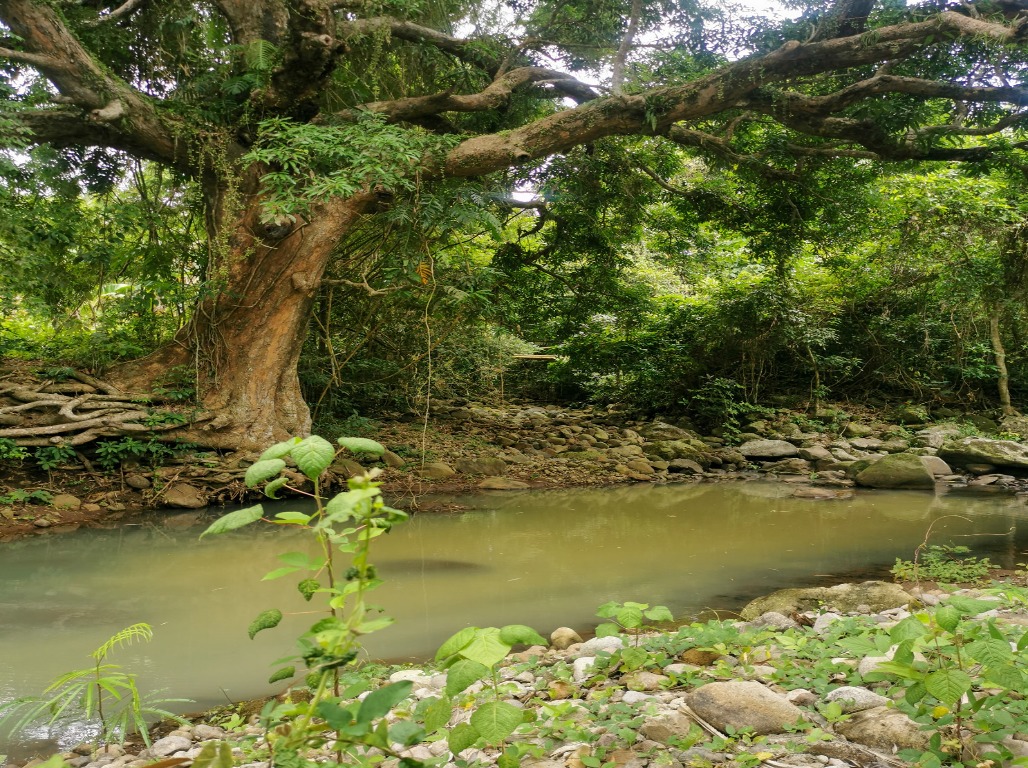 mt-marami-maragondon-cavite-climb-guide