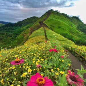 Landingan Viewpoint