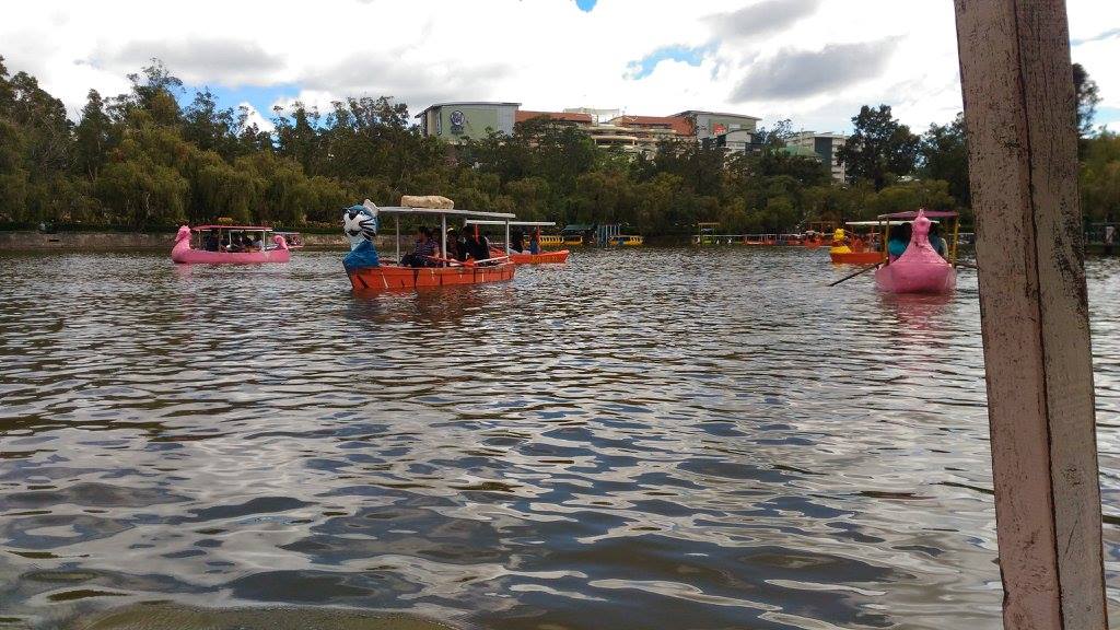 riding a swan boat at Burnham Park