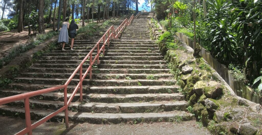 stairs of Wright Park