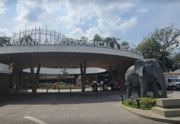 manila-zoo-reopens-abs-cbn-news