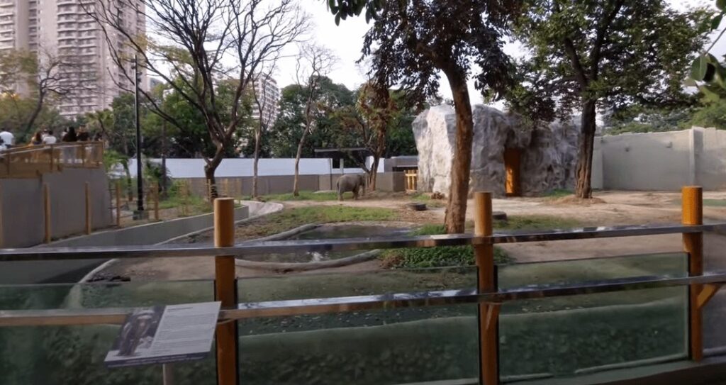 the newly renovated Manila Zoo