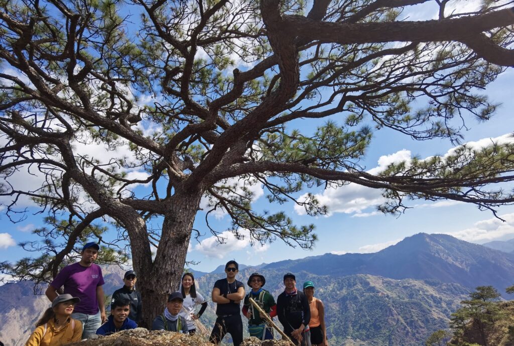 group picture under the enormous tree