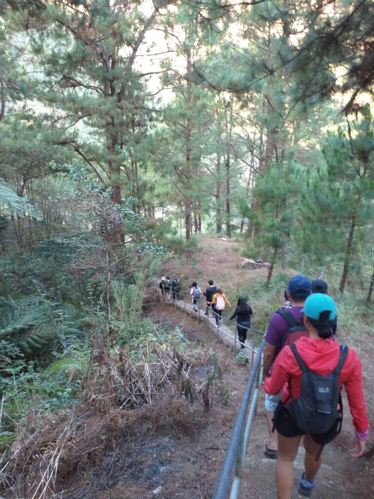 descending on a lengthy downstairs