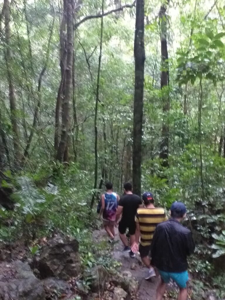 forested trail of Mt. Pinagbanderahan