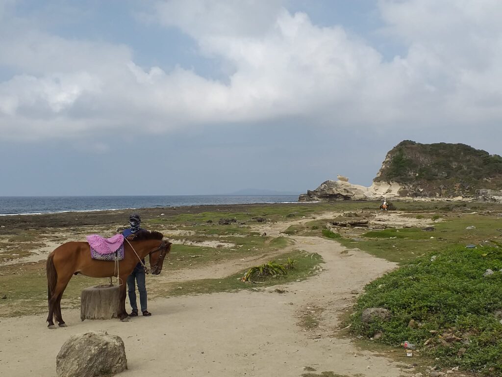 a horse in the vast coastal area of Burgos, Ilocos Norte