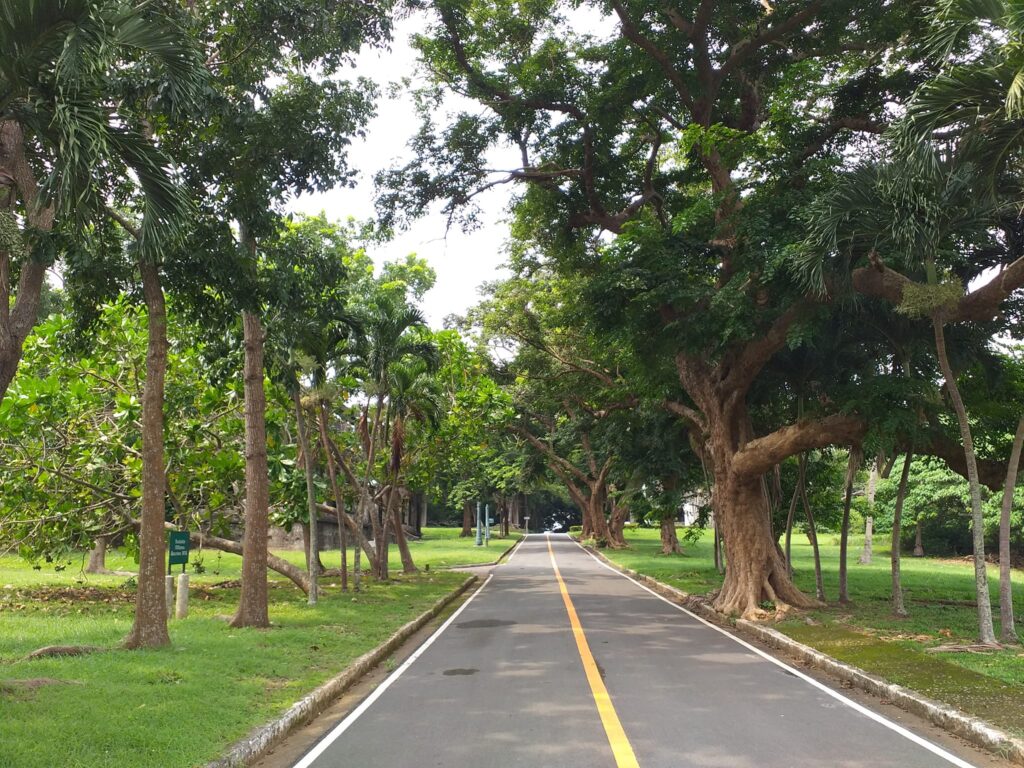 lush greenery in Corregidor