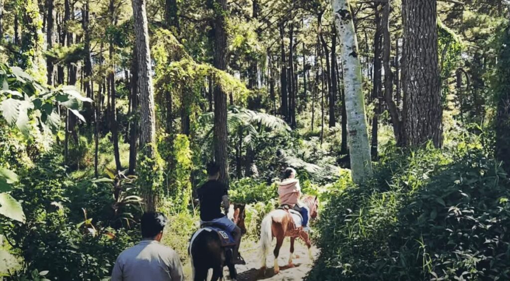 horseback riding at Camp John Hay