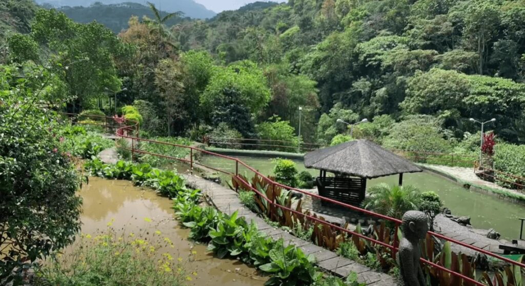 farm and garden at BenCab Museum