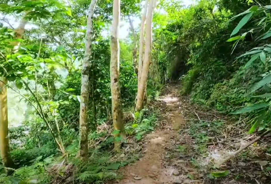 the trail going to Aw-Asen Falls