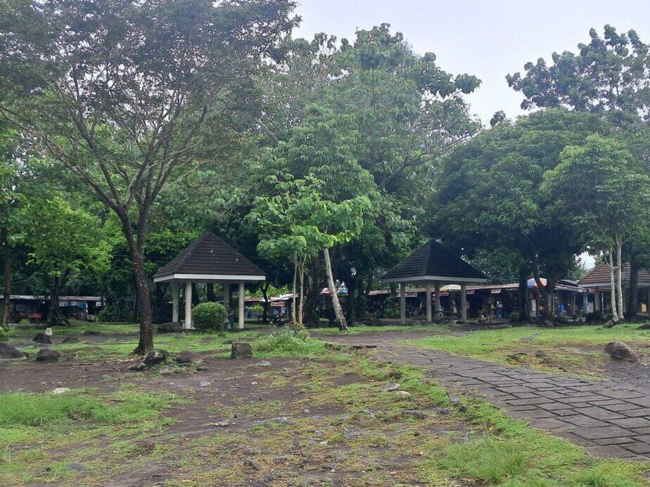 beautiful park with lush greenery