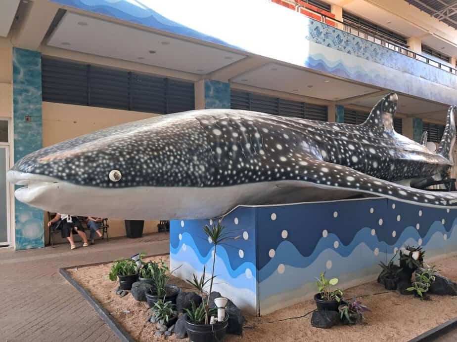 statue of a whale shark (butanding)